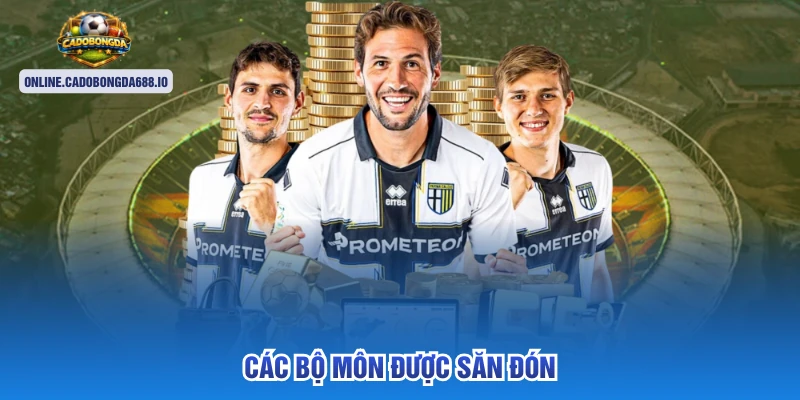 Các bộ môn được săn đón 