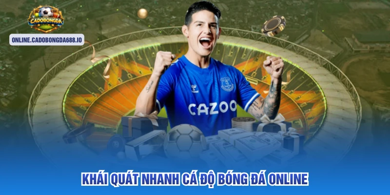 Khái quát nhanh Cá độ Bóng Đá Online