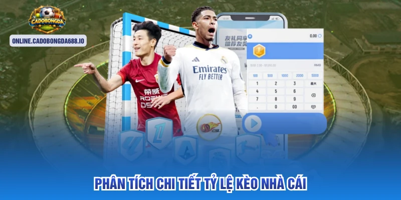 Phân tích chi tiết tỷ lệ kèo nhà cái